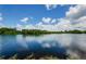 Scenic view of the lake with trees in the background at 699 Merlins Ct, Tarpon Springs, FL 34689