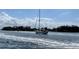 Sailboat on blue water with cloudy skies, perfect for a relaxing day at 764 W Bayshore Dr, Tarpon Springs, FL 34689