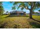 Back yard featuring a grass lawn and a large screened enclosure shaded by a large tree at 925 Eagle Ln, Apollo Beach, FL 33572
