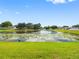Beautiful backyard view of the pond surrounded by a well-maintained lawn and residential homes at 13313 Ashbark Ct, Riverview, FL 33579