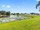 Scenic backyard pond surrounded by lush greenery and picturesque views, offering a tranquil retreat at 13313 Ashbark Ct, Riverview, FL 33579