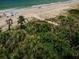 Beach view with vegetation in foreground; surf and sand visible in the distance at 1600 Gulf Blvd # 514, Clearwater Beach, FL 33767