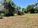 Large backyard with mature trees, a shed, and plenty of green space for outdoor activities at 1810 Alcorn Rd, Valrico, FL 33596