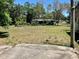 Spacious lot showcasing green lawn and mature trees, providing ample space for outdoor activities and relaxation at 1810 Alcorn Rd, Valrico, FL 33596