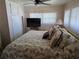 Bright bedroom featuring a comfortable bed, neutral decor, and ample natural light at 18675 Us Highway 19 N # 318, Clearwater, FL 33764