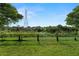 Lush backyard with sturdy fence, offers peaceful green space and serene views, ideal for outdoor enjoyment at 2832 Brinley Dr, Trinity, FL 34655