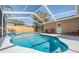 Sparkling private pool with a screened enclosure, surrounded by a patio and tropical plants at 3105 Avocet Pl, Safety Harbor, FL 34695