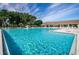 Large community pool with ample seating, perfect for swimming and socializing at 3126 Highlands Blvd # 3126, Palm Harbor, FL 34684