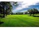 Expansive green golf course with mature trees and rolling terrain, offering a scenic and challenging experience at 3126 Highlands Blvd # 3126, Palm Harbor, FL 34684