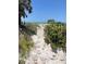 Picturesque stone path winding through lush vegetation towards a beautiful sandy beach at 3514 Gulf # 2, St Petersburg, FL 33706