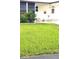 Well-maintained front yard with lush green grass and a decorative flower bush at 37648 Campo Ave, Zephyrhills, FL 33541