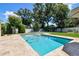 Backyard featuring a sparkling in-ground pool and travertine tile deck, surrounded by greenery and a well-maintained lawn at 4918 Lakeshore Oaks Ct, Tampa, FL 33624