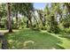 Expansive green backyard offers space for outdoor activities and relaxation at 8562 Acorn Ridge Ct, Tampa, FL 33625