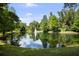 View of a serene pond with a fountain and beautiful lush green surroundings at 8562 Acorn Ridge Ct, Tampa, FL 33625