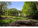 Scenic pond view featuring a fountain, lush green trees, and a stone bench at 8562 Acorn Ridge Ct, Tampa, FL 33625