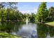 Picturesque view of a pond featuring a fountain and surrounded by verdant trees at 8562 Acorn Ridge Ct, Tampa, FL 33625