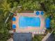 Aerial view of the community pool area showcasing umbrellas, lounge chairs, and lush greenery at 8562 Acorn Ridge Ct, Tampa, FL 33625