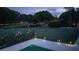 Backyard with pond view and landscaped greenery, enhanced by decorative lighting at 11217 Fiddlewood Dr, Riverview, FL 33579