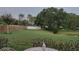 Expansive backyard with lush lawn, mature trees, and privacy fencing at 11217 Fiddlewood Dr, Riverview, FL 33579