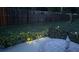 Landscaped backyard with fencing, lighting, and patio furniture at 11217 Fiddlewood Dr, Riverview, FL 33579