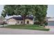 Charming single-story home with a large tree and well-maintained lawn at 11217 Fiddlewood Dr, Riverview, FL 33579