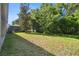 A lush, grassy backyard with mature trees offers a serene and private outdoor space to enjoy nature at 15841 Pond Rush Ct, Land O Lakes, FL 34638
