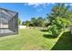 Fenced backyard featuring an extended screened-in lanai, mature landscaping and lush green lawn at 17510 Bright Wheat Dr, Lithia, FL 33547