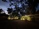 Backyard illuminated at night with lush landscaping and spotlight lighting the yard at 314 Bloomingfield Dr, Brandon, FL 33511