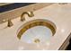 Close-up of a luxurious bathroom sink with gold fixtures and ornate detailing at 5002 S Shore Crest Cir, Tampa, FL 33609