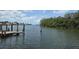 A serene water view with blue skies, calm waters and beautiful landscapes at 5002 S Shore Crest Cir, Tampa, FL 33609