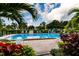 Outdoor community swimming pool, framed by lush plants and patio furniture for relaxing at 5623 80Th N St # 504, St Petersburg, FL 33709