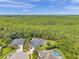 Aerial view showing luxurious homes with a forest backdrop, each featuring pools and manicured lawns at 6212 Nimes Ct, Lutz, FL 33558
