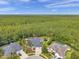 Aerial view of several luxury homes with pools and scenic backyard landscaping bordering a dense wooded area at 6212 Nimes Ct, Lutz, FL 33558