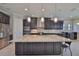 Large kitchen island, pendant lighting, stainless steel appliances, and dark cabinetry at 6913 Park Strand Dr, Apollo Beach, FL 33572