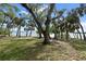 Waterfront backyard with trees, green grass, and shoreline at 8350 40Th N Ave, St Petersburg, FL 33709