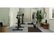 Bright workout room featuring Peloton bike, large mirrors, and sleek accents at 9554 Minnow Ray Dr, Land O Lakes, FL 34638
