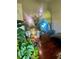 Plant-filled bedroom with hardwood floors and large mirror showcasing clothes rack at 10980 104Th Ave, Largo, FL 33778