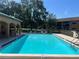 Refreshing outdoor swimming pool with inviting lounge area, perfect for relaxation and leisure at 12900 Vonn Rd # D202, Largo, FL 33774