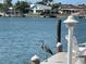 Waterfront view with a great blue heron and chairs on a wood dock at 474 20Th Ave, Indian Rocks Beach, FL 33785