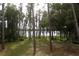 Lush backyard with mature trees and tranquil lake views beyond at 6160 Fitzgerald Road, Odessa, FL 33556