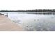 Picturesque lake view from the dock showcasing serene water and lush greenery at 6160 Fitzgerald Road, Odessa, FL 33556