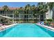 Inviting pool area surrounded by lush palm trees and comfortable seating at 801 83Rd N Ave # 209, St Petersburg, FL 33702