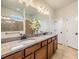 Bright bathroom featuring double granite vanity, modern fixtures, and decorative floral arrangement at 8296 Olive Brook Dr, Wesley Chapel, FL 33545