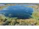 Scenic aerial view captures the beauty of the lake with its aquatic plants and natural shoreline, providing a serene backdrop at 8296 Olive Brook Dr, Wesley Chapel, FL 33545