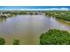 Scenic aerial view of a serene lake surrounded by lush greenery and residential homes under a clear blue sky at 8576 Sandy Beach St, Tampa, FL 33634