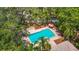 Attractive community pool nestled amidst lush greenery, featuring comfortable seating, a secure fence, and inviting umbrellas at 8576 Sandy Beach St, Tampa, FL 33634