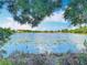 Expansive water view under a blue sky with scattered clouds and foreground foliage at 8576 Sandy Beach St, Tampa, FL 33634