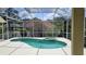 Screened-in pool with jacuzzi, surrounded by lush greenery and a sunny sky at 9408 Sayre St, Riverview, FL 33569