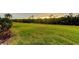 Lush green backyard providing a serene and natural setting at 9484 Tara Cay Ct # 8, Seminole, FL 33776