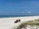 Peaceful beach scene with chairs and a clear blue ocean, ideal for relaxation and scenic views at 9484 Tara Cay Ct # 8, Seminole, FL 33776